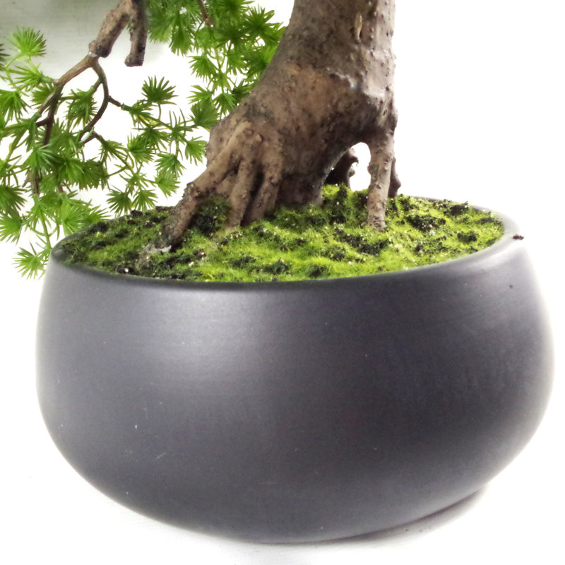 50cm Faux Bonsai Plant in Ceramic Pot