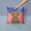  Coussin 14 "American Flag-1560286176-1560604464