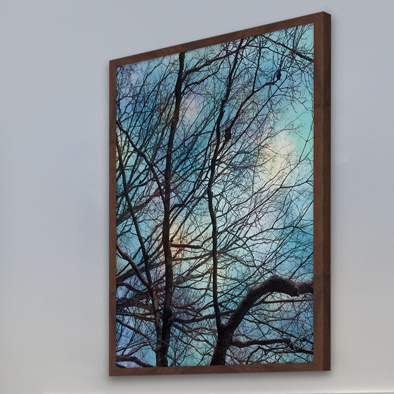 Judy Stalus - Single Picture Frame Print, 61cm H x 41cm W x 3.81cm D