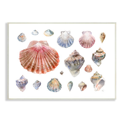 «Nautical Shell», art aquatique à motifs, vie surdimensionnée sur toile tendue par Verbrugge Watercolor