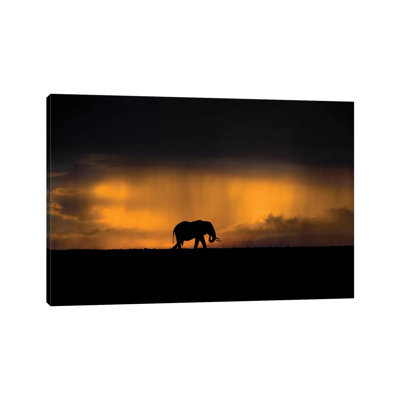 Elephant In A Rain Storm At Sunset by Xavier Ortega - Wrapped Canvas Gallery-Wrapped Canvas Giclée