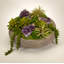 Faux Succulent in Decorative Vase-1689855781