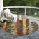 Machine Washable Indoor/Outdoor Xhevrie Wheat Rug
