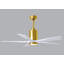 Patricia LED Downrod Ceiling Fan-1922835873-1952218703