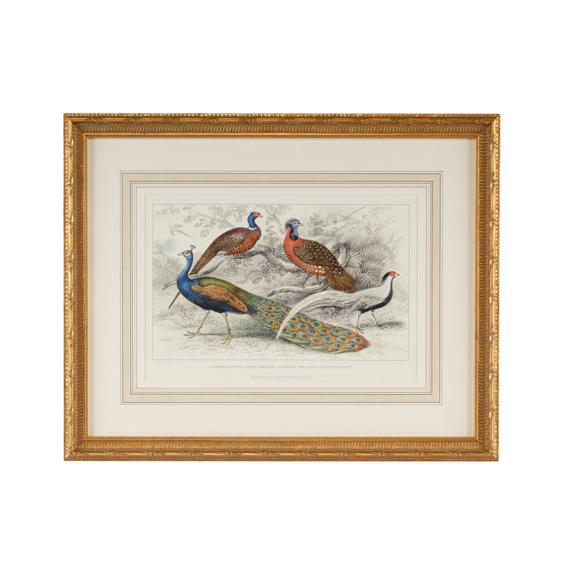 Peacock And Pheasants Print