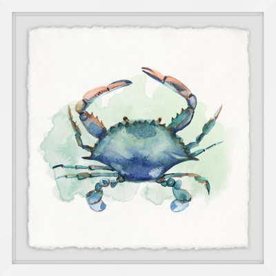 Beach Adventure " Notre Bon Crabe Celeste " by Julia Posokhova
