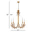 Konata 5 Light Chandelier