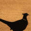 Sousa Non-Slip Outdoor Doormat