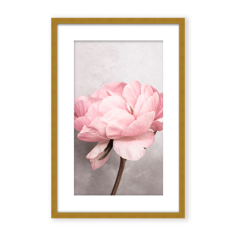 Nature Inspired Peony by  - Picture Frame Photograph on Paper, 48" H x 32" W x 1.125" D, Black, Framed Matted Print