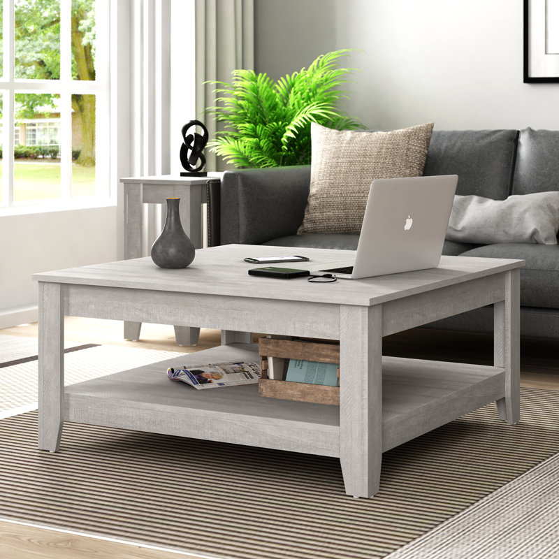 Weddel Basilico Coffee Table with Storage, Chêne gris cendré