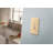 Blank Wall Plate