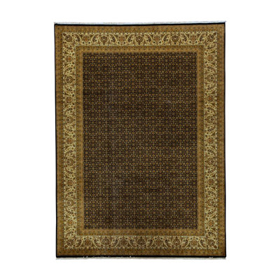 Wool Oriental Area Rug in Gold