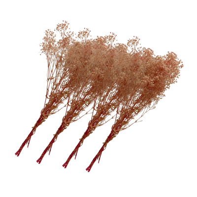 Dried Preserved Baby's Breath Stems