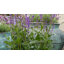 Braxton Fiberglass Planter-1366062102