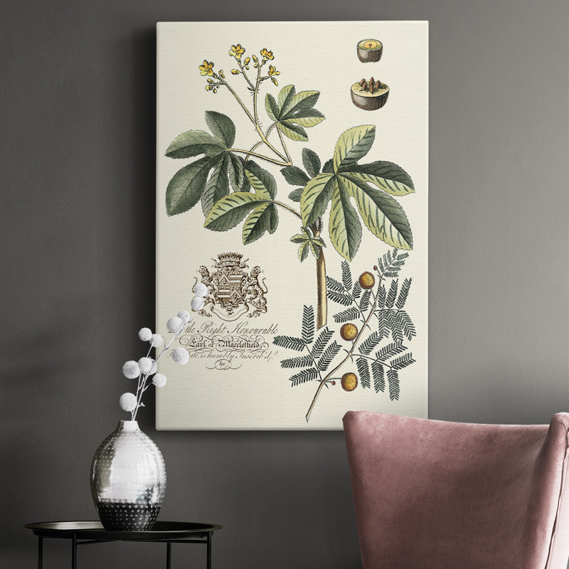 Impression sur toile «Imperial Foliage I», H 18 po x l 12 po x P 1 po