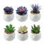 Lot de 6 fausses plantes succulentes violettes et vertes