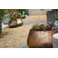 Pelaez Metal Pot Planter-1432508314