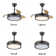 Chesterine 36'' Ceiling Fan with LED Lights