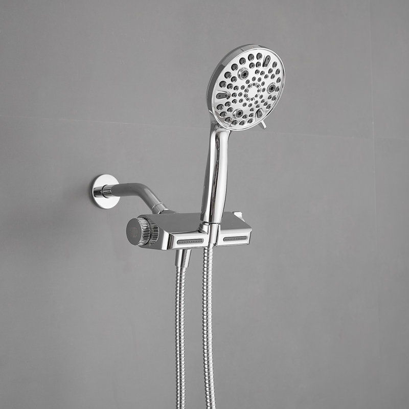 Rain Handheld Shower Head 2.0 GPM GPM with Water Filtration, Polished Chrome