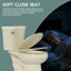 Toilette haute 17 po ADA-113948128