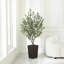 Adcock Artificial Olive Tree for Indoor & Outdoor Home Decor, Faux Olive Tree with Decorative Pot-1771617332-1771617289
