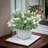11 " Faux in Ceramic Pot-174026394