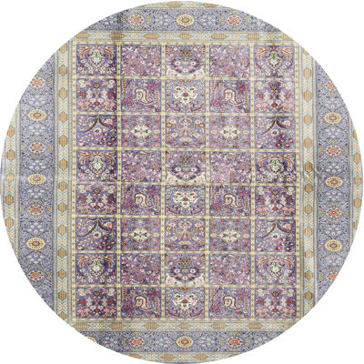 Oriental Indoor Rug