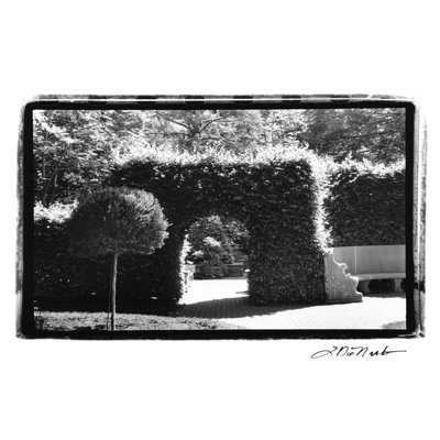 Garden Hideaway III by Laura DeNardo - 1 Piece Wrapped Canvas Wall Art