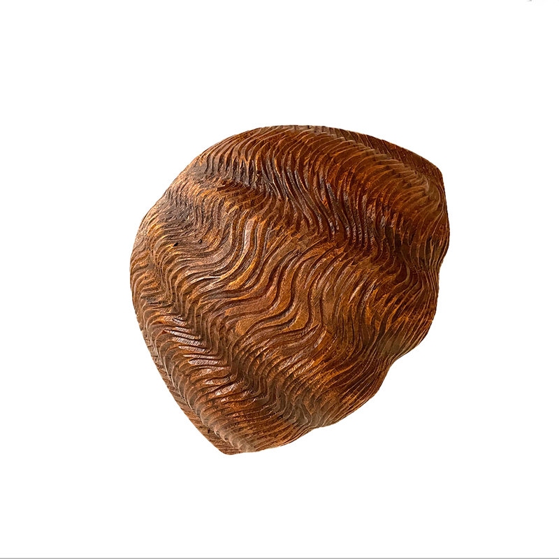 ECCLTIC Bol décoratif coquille de palourde en bois Coastal Home Decor