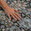 Tapis lavable à la machine de qualité supérieure Mayfield AMF2485-316132203-316132204