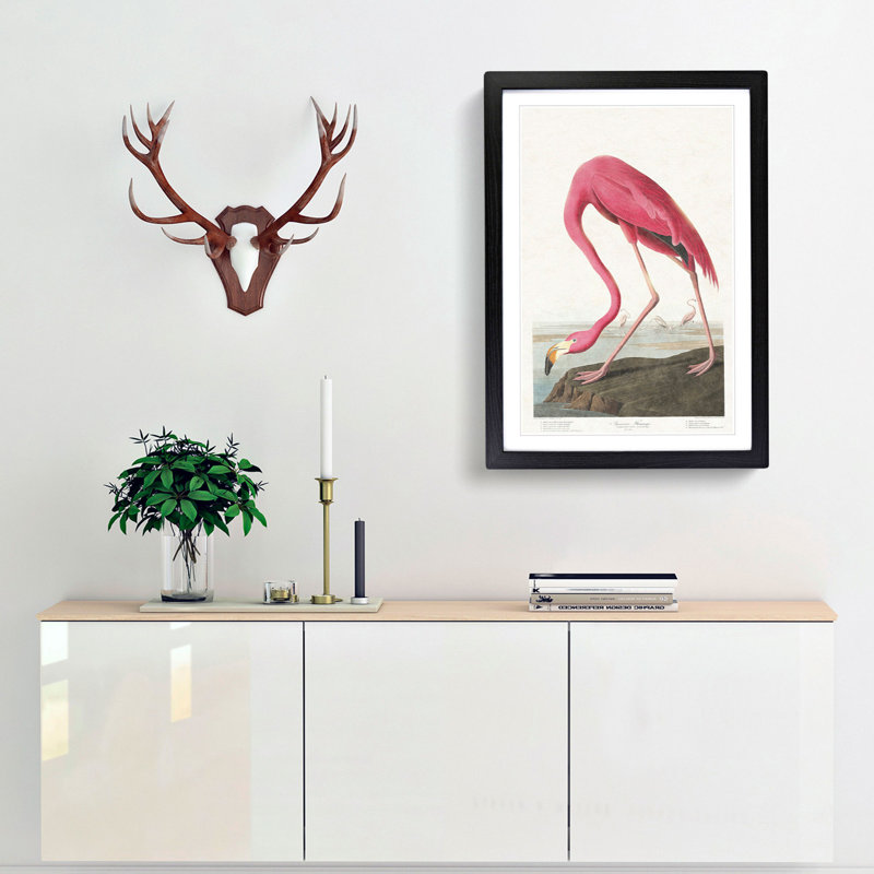 Pink Flamingo by John Audubon - Picture Frame Painting Print, Black Framed, 36cm H x 27cm W x 2cm D