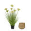 Faitout en bambou Dahlia