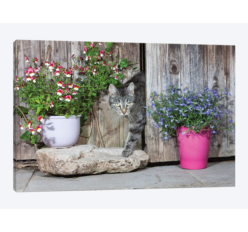 Reproduction de photo sur toile, H 8 po x l 12 po x P 0,75 po, Toile tendue, Pas de tapis