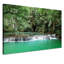 Jungle - Print on Canvas-523580363-523580357