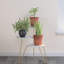 Styreman Plant Stand-198681536