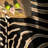 Zebra Safari Cowhide Rug