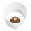 Table Lamp Rattan Natural