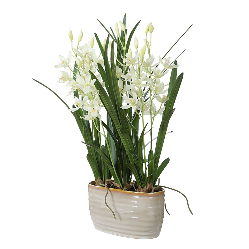 Jardinière Pétrolia