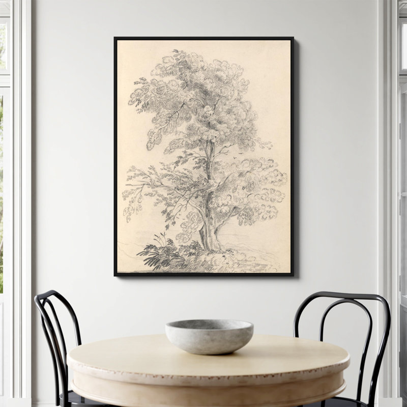 «Tree Sketch» par Wild Apple, Non, H 48 po x l 36 po, Toile avec cadre flottant noir