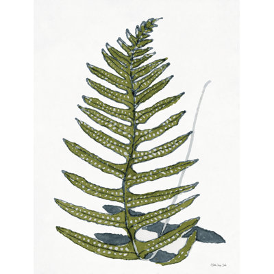 «Sketchy Leaves 2 on Canvas» par Stellar Design Studio, reproduction