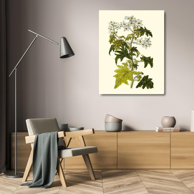 Art sur toile tendue avec galerie Astoria Grand Inconnu, Olive Greenery VI, H 24 po x l 20 po
