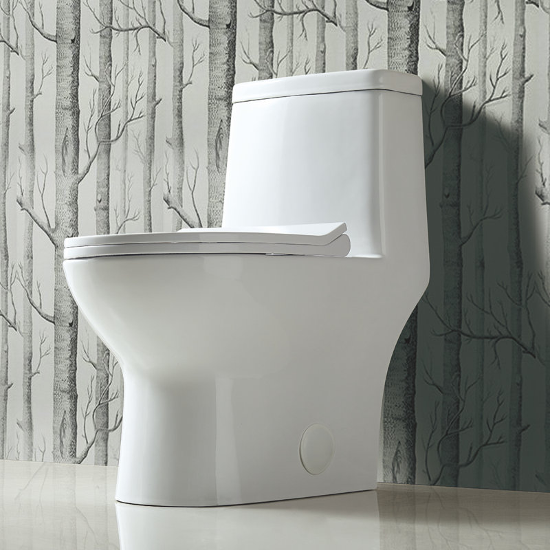 Toilette une pièce à double chasse Drovia avec siphon dissimulé pleine jupe