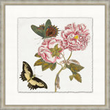 Garden Butterflies 5 Print