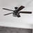Carnegie 52" Ceiling Fan with LED Lights and Remote Included-1284214530