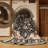 Machine Washable Persian Brown Area Rug