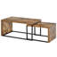 Arbela Nesting Coffee Table Set of 2 Industrial Rustic Brown