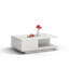 Theresa Coffee Table with Storage-25293510
