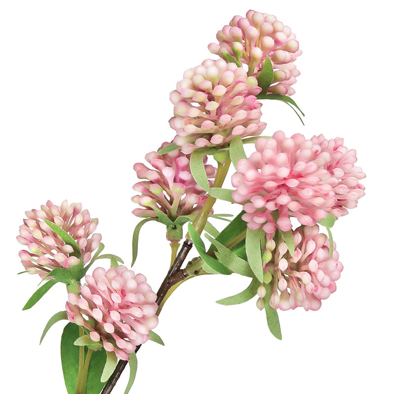 Tige de baies sauvages, Rose