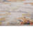 Charolene Abstract Ivory Power-Loom Area Rug-1739761273