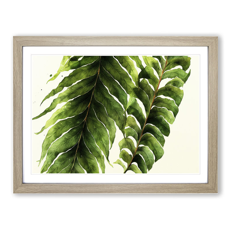 XH1022-9831X Fern Leaf Vol.3 - Single Picture Frame Print, 46cm H x 64cm W x 2cm D, Oak Framed